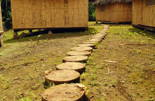 Cuyabeno Cabin | Amazon Dolphin Lodge