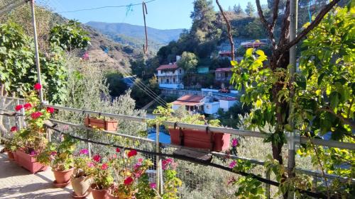 Kalopanayiotis House | Ambeli - Ambeloui