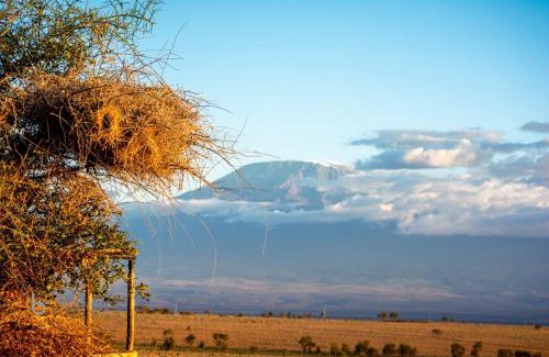 Amboseli Apartment | Amboseli RedHouse
