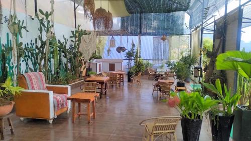 Da Lat Other | Amikaje Farm