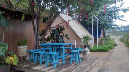 Da Lat Other | Amikaje Farm