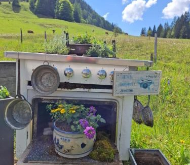 Bad Kohlgrub Apartment | Ammergauer Vier Jahreszeiten