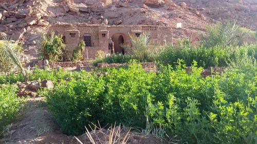 Tissint Other | Amoudou Lodge Camp