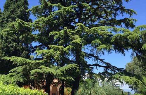 Sona House | Ampio Appartamento con Giardino e Patio tra i Vigneti