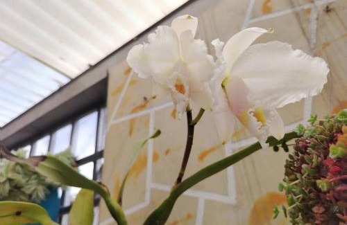 Chiquinquira House | Amplia Casa a 10 min de la Basílica - Chiquinquirá