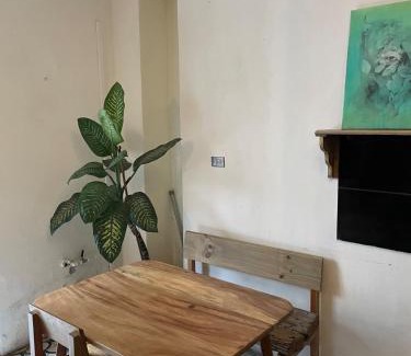 Zona 1 Apartment | Amplio primer nivel centro histórico el círculo