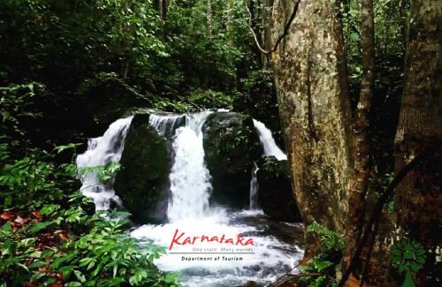 Tumari Resort | Amruthavana Nature Resort Kodachadri