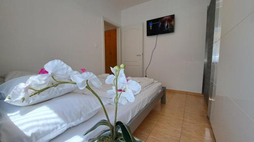 Hajduszoboszlo Apartment | Amulett Suite Apartment