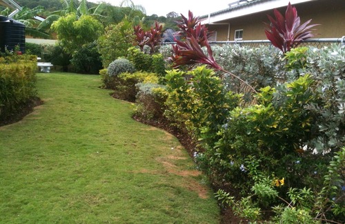 Falmouth House | An Affordable 'Real Jamaican Experience' Vacation in Falmouth