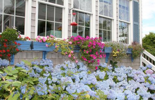 Dennis Port Hotel | An English Garden