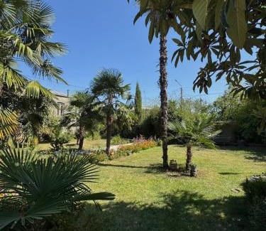 Tsinandali Apartment | AN Guest house