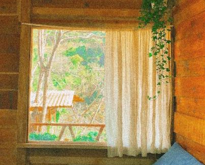 Da Lat House | An homestay - forest healing