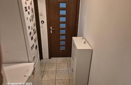 Ramnicu Valcea Apartment | Ana