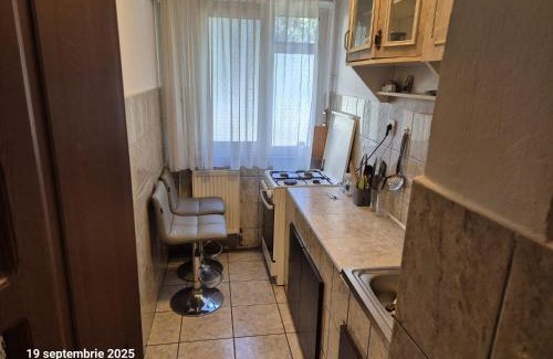Ramnicu Valcea Apartment | Ana