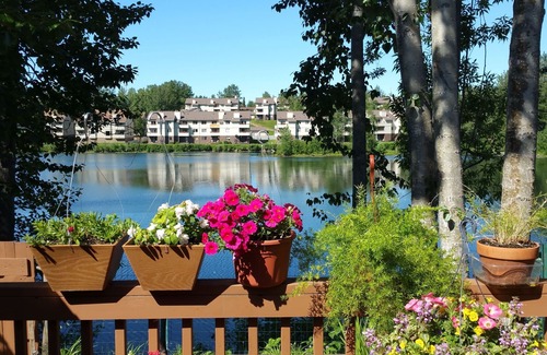 University Area House | *Anchorage Full Lake View Villa*