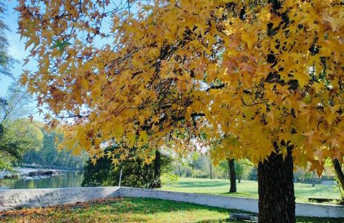 Saint-Aigny House | Ancien Moulin Authentique, Terrasse Privée et Rivière en Berry, Parc Naturel de la Brenne - FR-1-591-560