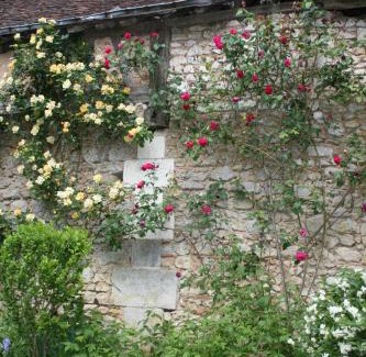 Chaumont-sur-Loire House | Ancien pavillon de chasse du château de Chaumont sur Loire