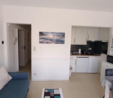 Sint-Idesbald Apartment | Ancona 97