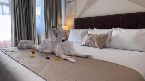 Historical Center Hotel | Andari Hoteles San Lázaro