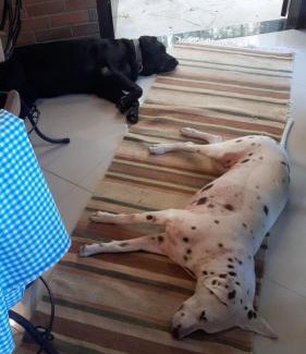 Niteroi House | Andorinhas "Mini casa de hóspede"