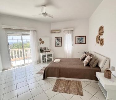 Psinthos House | Andri's Garden House