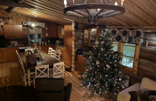 Lampivaara Villa | Ankkalinna