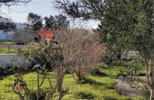 Galissas Apartment | Anna's Apartment