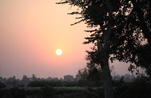 Bodh Gaya House | Ansari House