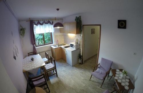 Stari Grad Apartment | Antique apartment with balcony