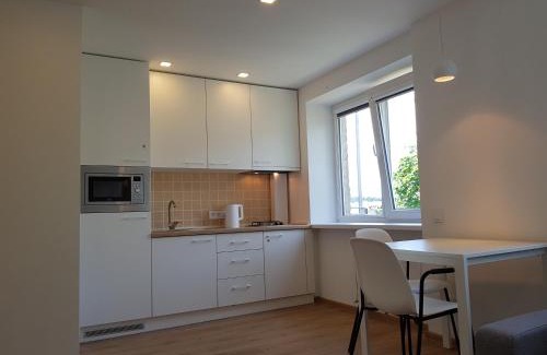 Anyksciai Apartment | Anykščiai Cozy Studio
