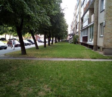 Anyksciai Apartment | Anykštuko butas