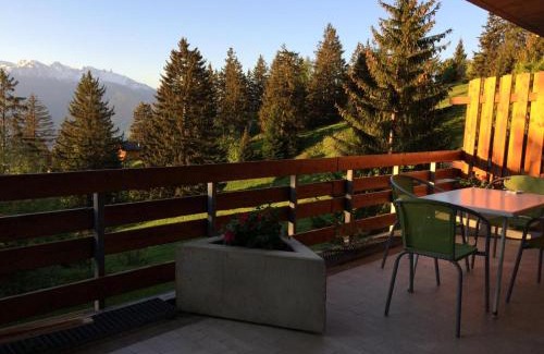 Anzere Apartment | Anzère skis - promenade