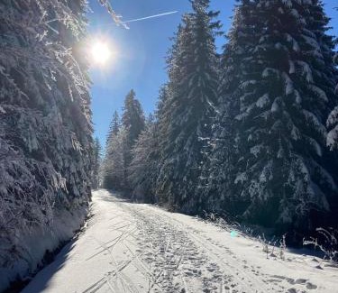 Philippsreut Apartment | Aotearoa - Mountain apartment in Bavaria, Mitterdorf - Mitterfirmiansreut
