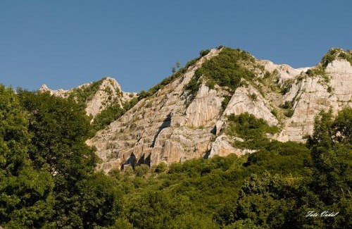 Belapatfalva House | Apátságúti Vendégház