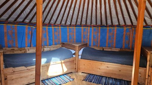 Terelj Other | Apache Eco Camp, Terelj Nationalpark Mongolia