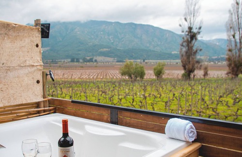 Santa Cruz Cabin | Apalta Lofts, enjoy the vineyards in front of the vineyards