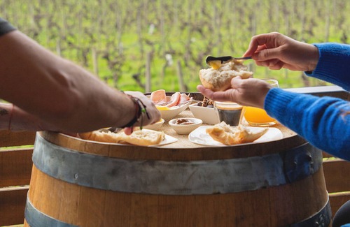 Santa Cruz Cabin | Apalta Lofts, enjoy the vineyards in front of the vineyards