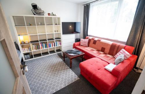 Rokytnice v Orlickych Horach Apartment | Apartmán Rokytnička