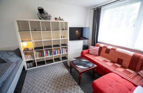 Rokytnice v Orlickych Horach Apartment | Apartmán Rokytnička