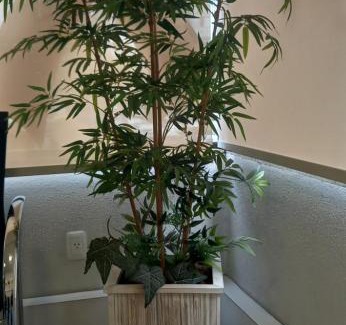 Rio Branco Apartment | Apart acessível