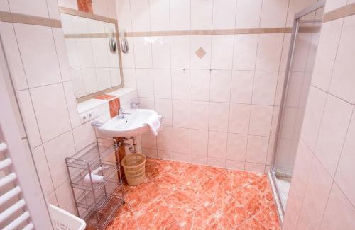 Nauders Apartment | Apart Bergecho