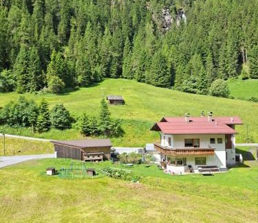 Sankt Leonhard im Pitztal Apartment | Apart Gschwandthof