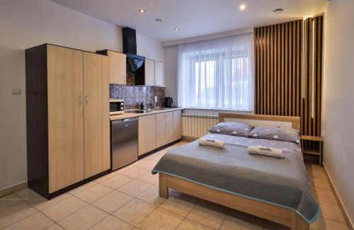 Uniejow House | Apart-House Uniejów