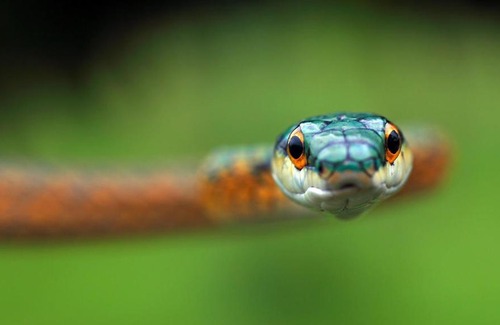 Puerto Valle Apartment | Apart Iberá