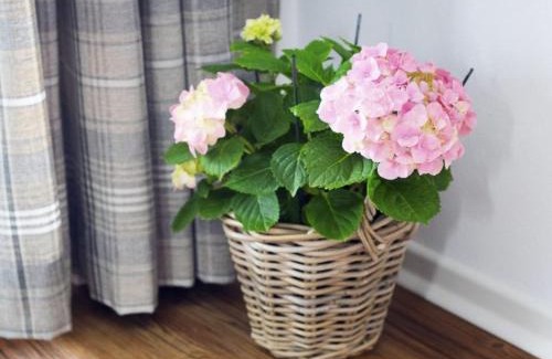 Seehausen am Staffelsee House | Apart Pension Vita Stafnensis