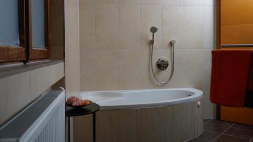 Ladis Apartment | Apart Weitblick Executive Suite