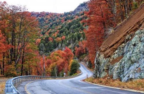 San Martin de los Andes Apartment | Apartamento San Martín de los Andes