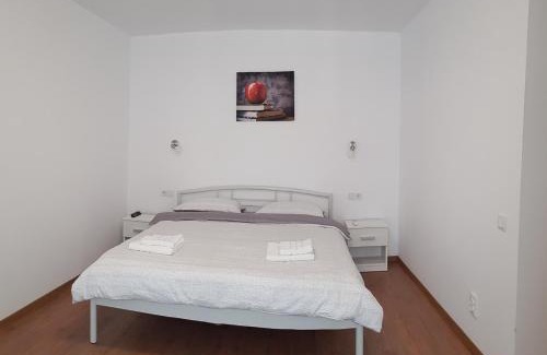 Tirgu Mures Apartment | Apartament 10 Budiu