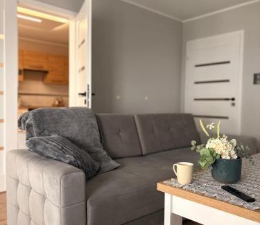 Głuchołazy Apartment | Apartament 11 na 10