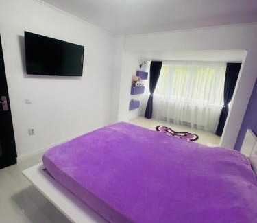 Sector 1 Apartment | Apartament 2 camere